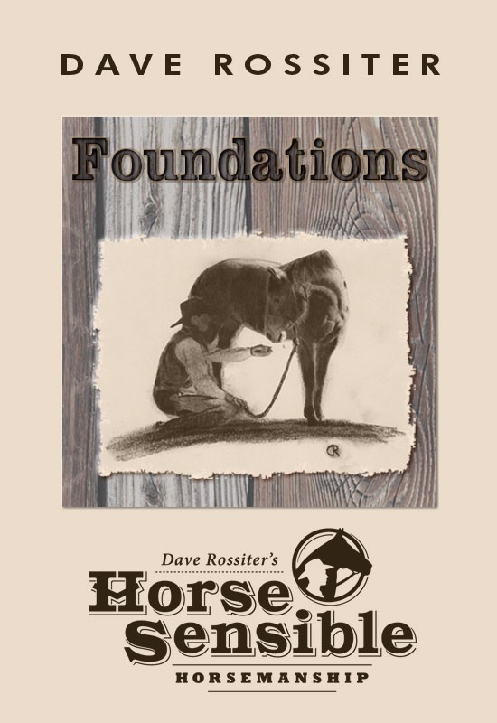 Foundations: Horse Sensible Horsemanship by Dave Rossiter