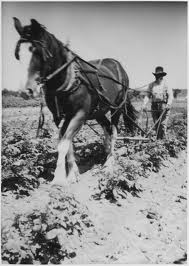 Book Farmer