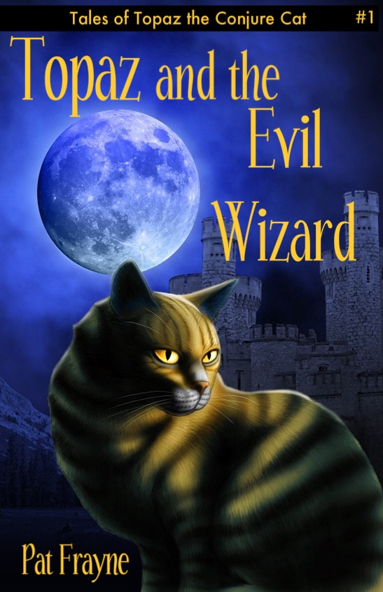 Sneak Peek:  Topaz and the Evil Wizard by Pat Frayne