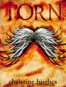 TORN by Christine Hughes