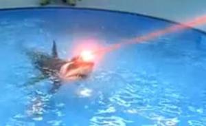 Shark with frikkin laser beam