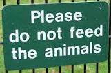 Please do not feed the animals