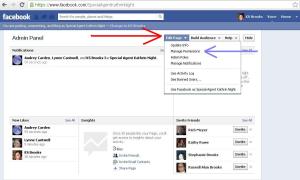 Facebook author page admin panel