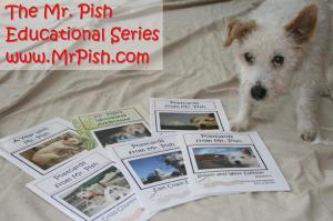 The Mr. Pish Educational Series