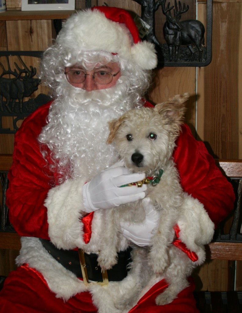 Mr. Pish and Santa