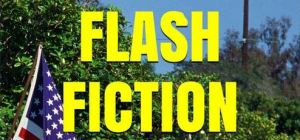 Flash fiction