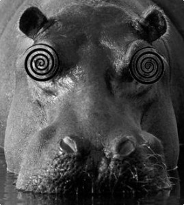 Hypnopotamus BW