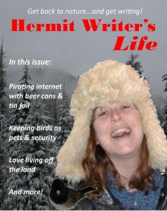 hermit writers life 2