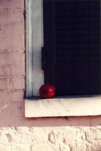 new orleans 1999 pomegranate