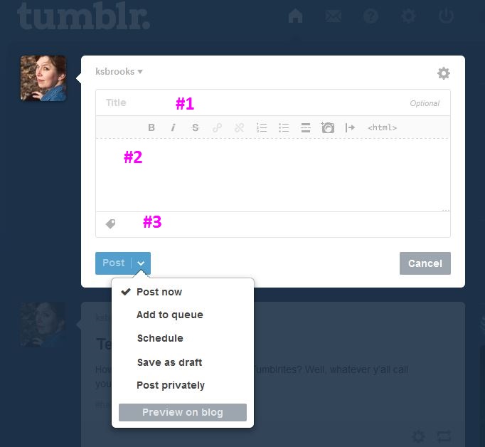 tumblrtxt