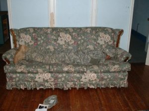 couch camo