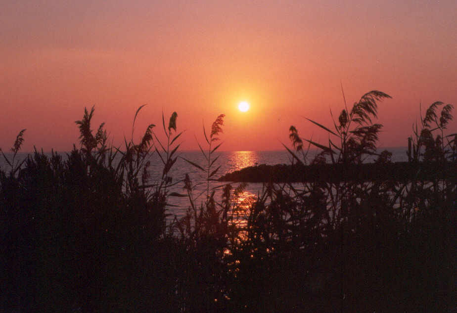 hoopers island sunset 090101