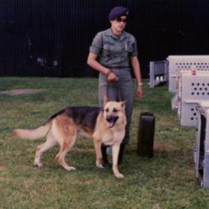 army dog 1980s