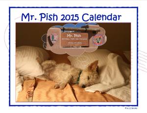 Mr. Pish 2015 hanging calendar