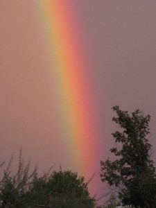 rainbow