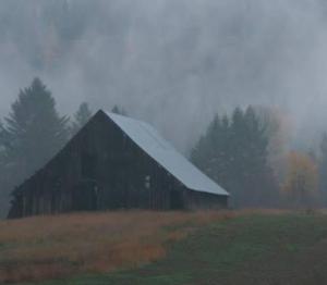 Foggy Barn-Colville Valley