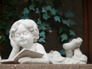 book karma reading cherub