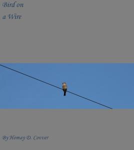 bird on a wire homemade cover