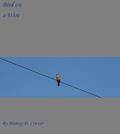 bird on a wire homemade cover thumbnail