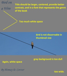 bird on a wire homemade cover with commentary