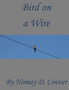 bird on a wire homemade cover2