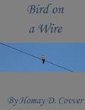 bird on a wire homemade cover2 thumbnail