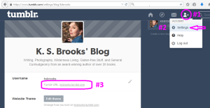 Find your Tumblr blog URL