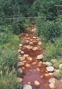 New Hampshire Stream writing prompt photo copyright K. S. Brooks