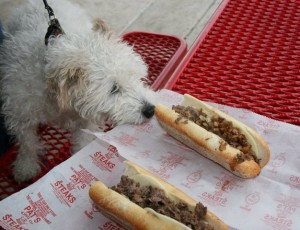 Mr Pish at Pats King of Steaks writing prompt copyright KS Brooks Do not use without attribution