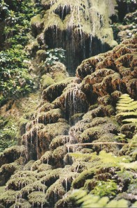 rio camuy waterfall 1999 photo prompt copyright K. S. Brooks all rights reserved