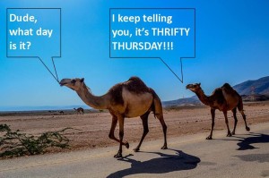 thrifty thursday ebook deals talking camels