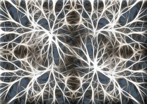 a writers brain pixabay neurons-582054_640