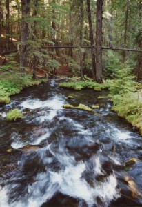 clearwater falls oregon june 2001 Flash fiction prompt ALL RIGHTS RESERVED KS BROOKS