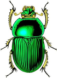 scarab beetle synchronicity in writing pixabay