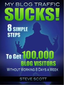 BLOG TRAFFIC SUCKS