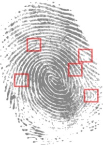 forensics for authors fingerprint-146242_640