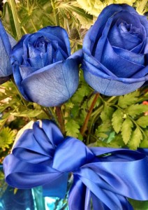 flash fiction writing prompt Blue Roses and Bow IMG_20150131_CROP