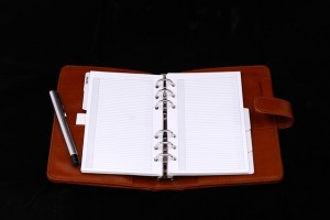 IU notebook for author planning