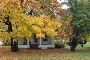 fall foliage writing prompt 234-downtown-chewelah-home-com