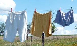 underwear and writing - underwear hanging on a line