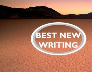 best new writing