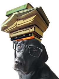 bookdoggy