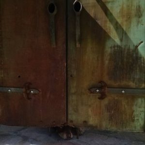 Dog Under Door