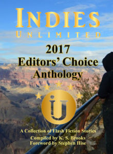 EBOOK COVER editors choice