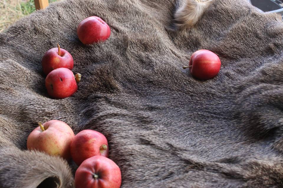 apples and fur spokane ren faire 2018 flash fiction prompt copyright K. S. Brooks