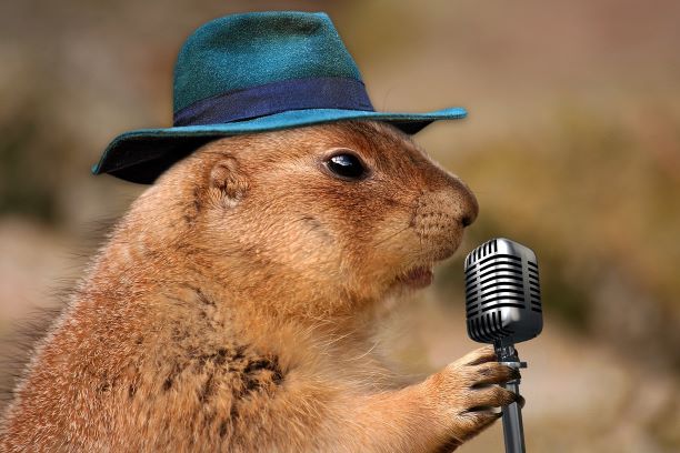 speaker prairie-dog-1470659_1280 pixabay