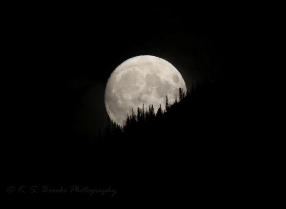 full moon rising 3L0A2469 flash fiction writing prompt copyright KS Brooks