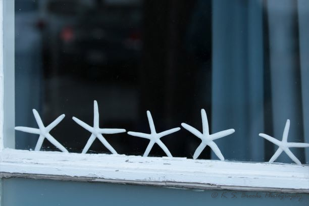 Starfish in a window