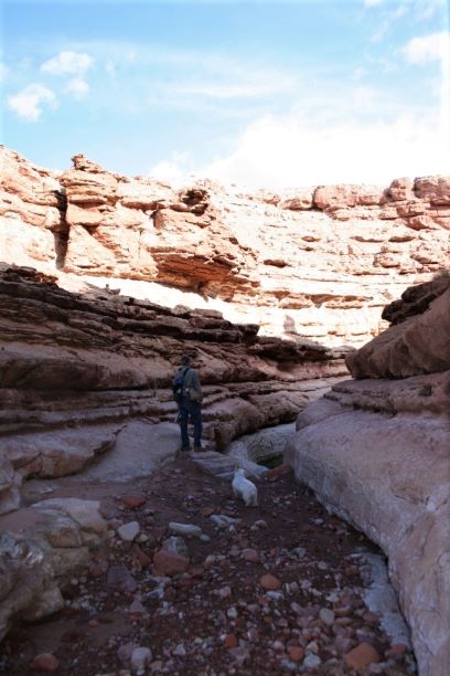 marble canyon death march 2 Flash Fiction writing prompt