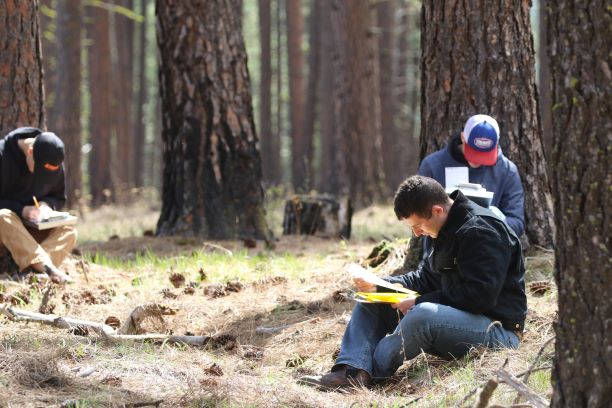 students sitting amongst ponderosa pines